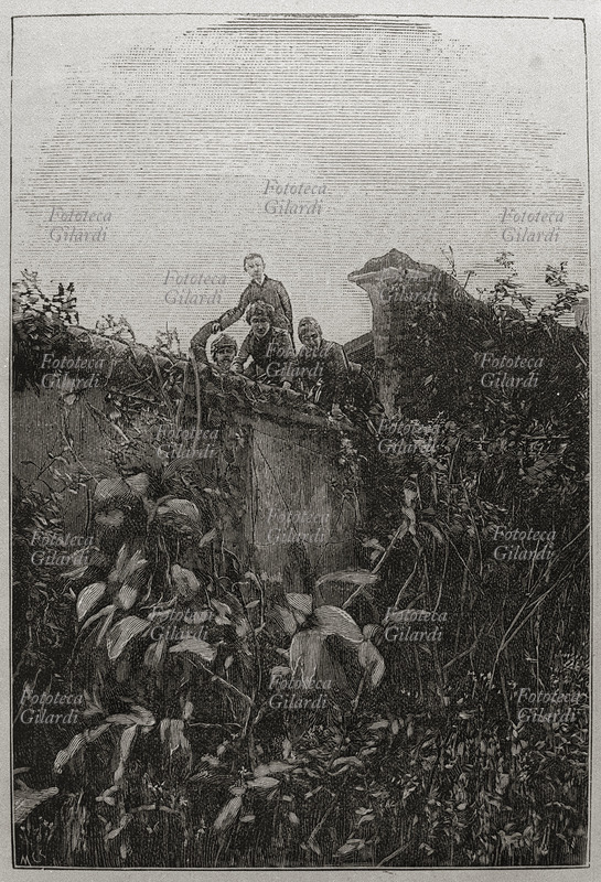 SCIOPERI disordini contadini nell\