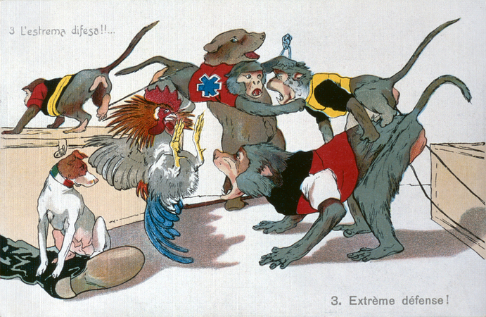 PRIMA GUERRA MONDIALE L ESTREMA DIFESA ...