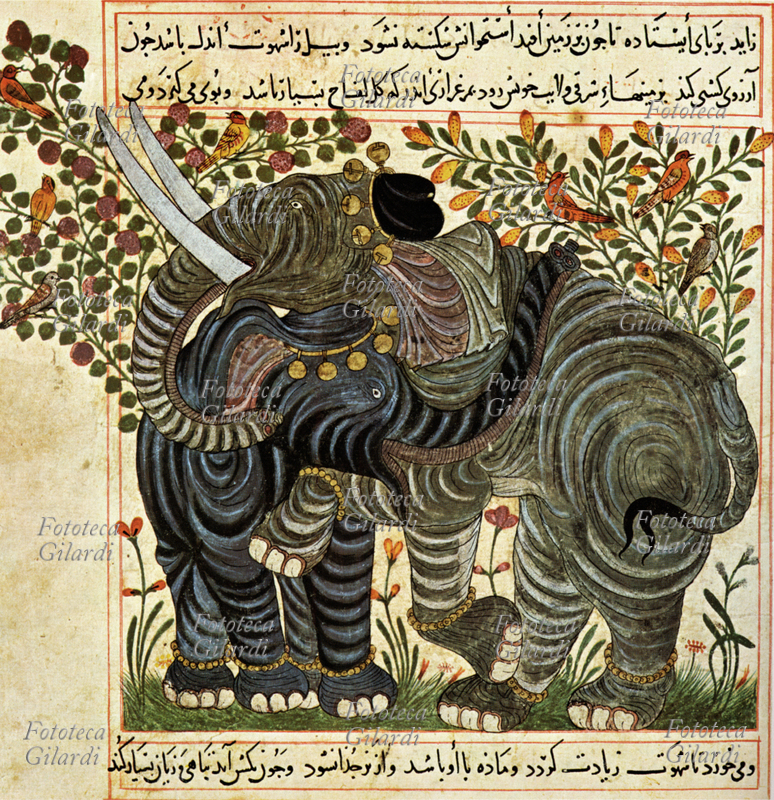 ARABI Gli elefanti - stampa da miniatura araba dal \