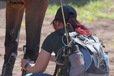24.05.2024 CSIO Piazza di Siena Premio n5 Presented Aston Martin G.Leanza ph 24.05.2024 CSIO Piazza di Siena Premio n5 Presented Aston Martin G.Leanza ph