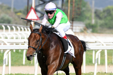 19.05.2024 Ippodromo Capannelle Derby Day Giuseppe Leanza ph