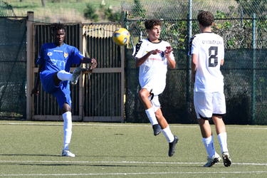 29.09.2024 Civitavecchia vs G.Castello 4 1 2a giornata U17 Elite Girone A G.Leanza ph