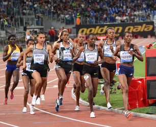 02.06.2016 Golden Gala. Roma stadio Olimpico. Seconda parte 02.06.2016 Golden Gala. Roma stadio Olimpico. Seconda parte