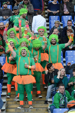 11.02.2017 RBS 6 Nation. Ita vs Irl Supporters