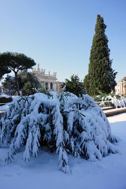 26.02.2018 Neve a Roma 22 photos