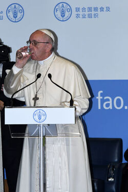 Roma 16.10.2017 FAO World Food Day 2017 