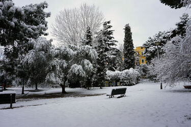 26.02.2018 Neve a Roma 22 photos