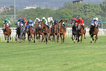 19.05.2024 Ippodromo Capannelle Derby Day Giuseppe Leanza ph