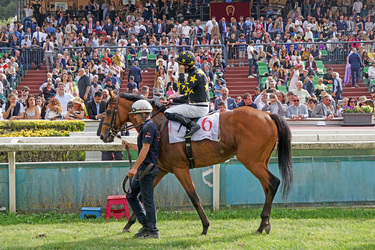19.05.2024 Ippodromo Capannelle Derby Day Giuseppe Leanza ph