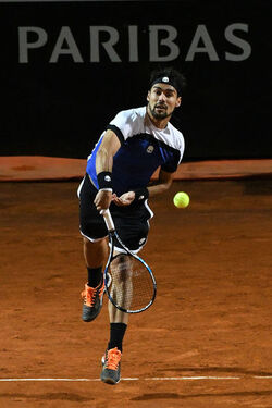 16.05.2017 Internazionali Tennis Fognini vs Murray 21 photos