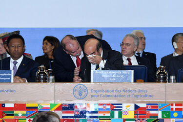 Roma 16.10.2017 FAO World Food Day 2017 