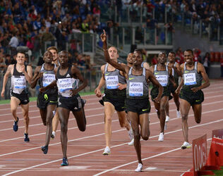 02.06.2016 Golden Gala Roma stadio Olimpico. Terza parte.