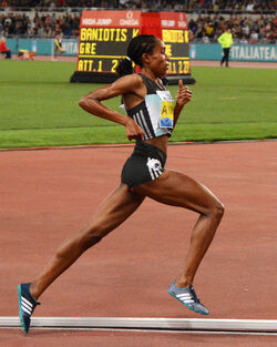 02.06.2016 Golden Gala. Roma stadio Olimpico. Seconda parte 02.06.2016 Golden Gala. Roma stadio Olimpico. Seconda parte