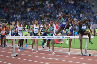 06.06.2019 Golden Gala Roma Joerg Oegerli ph