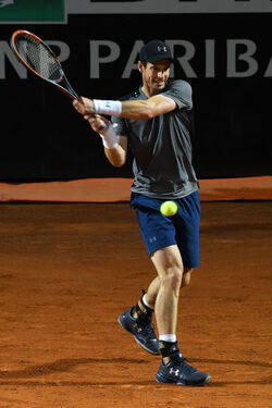 16.05.2017 Internazionali Tennis Fognini vs Murray 21 photos