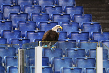 04.11.2024 Lazio vs Cagliari 2 1 Serie A 11a giornata G.Leanza ph 04.11.2024 Lazio vs Cagliari 2 1 Serie A 11a giornata G.Leanza ph