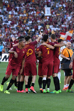 28.05.2017 Roma vs Genoa 3 2. Totti la Festa. 32 Photos 28.05.2017 Roma vs Genoa 3 2. Totti la Festa. 32 Photos