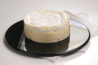 FORMAGGIO CAMEMBERT