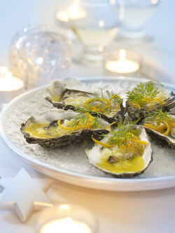 RICETTE PER LE FESTE RICETTE PER LE FESTE