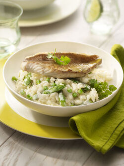 GRANDI PESCE TRIGLIE