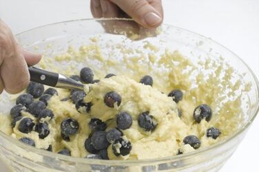 CIAMBELLA AL COCCO E MIRTILLI CIAMBELLA AL COCCO E MIRTILLI