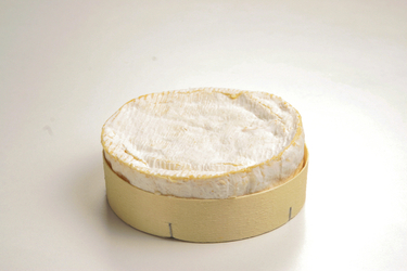 FORMAGGIO CAMEMBERT
