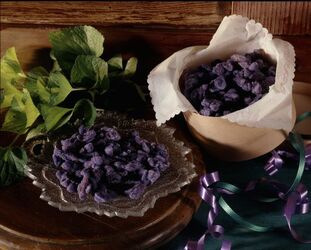 VIOLETTE CANDITE VIOLETTE CANDITE