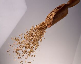 MIGLIO FARRO E ORZO CASCATA 