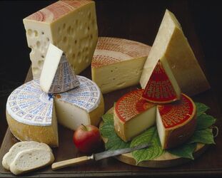 FORMAGGI SVIZZERI