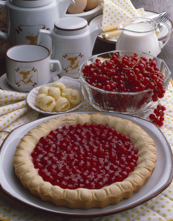 CROSTATA DI RIBES