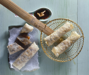 INVOLTINI PRIMAVERA