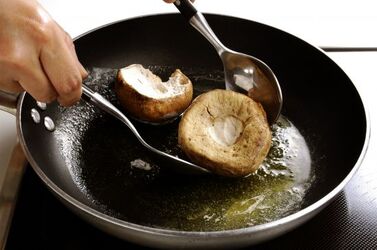 MENÙ A BASE DI FUNGHI MENÙ A BASE DI FUNGHI