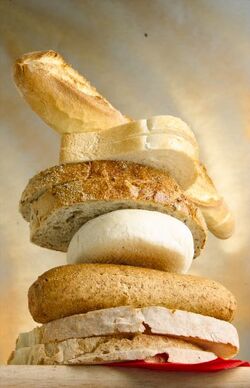 APERTURA INGREDIENTI PANINI