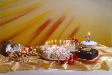 SERVIZIO TORTE PER LE FESTE SERVIZIO TORTE PER LE FESTE