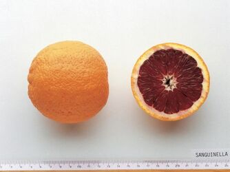ARANCIA SANGUINELLA TAGLIATA A META 
