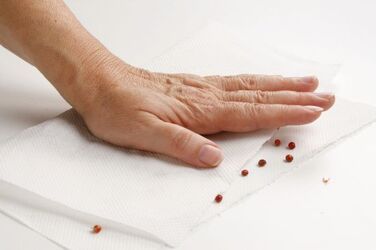 MENÙ INERNALE CON SALSE COLORATE MENÙ INERNALE CON SALSE COLORATE