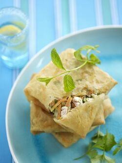 CARTOCCI CROCCANTI RIPIENI DI POLLO