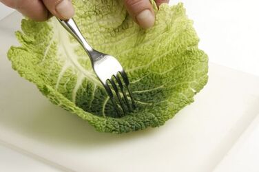 ROTOLINI DI SOGLIOLA AL VAPORE ALLO ZENZERO