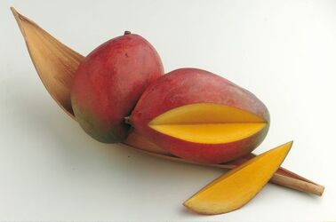 MANGO