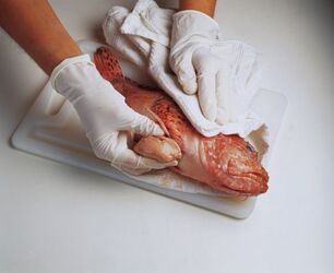 BRODETTO CON CAPESANTE