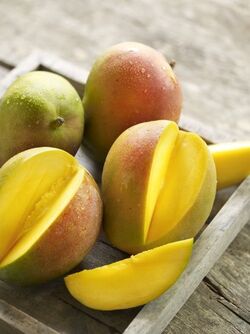 MANGO
