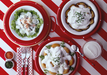 MEN&Ugrave; ALLO YOGURT