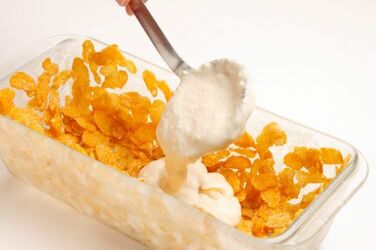 CHARLOTTE DI MASCARPONE AI CORN FLAKES CHARLOTTE DI MASCARPONE AI CORN FLAKES