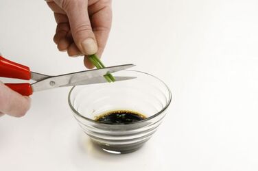 ROTOLINI DI SOGLIOLA AL VAPORE ALLO ZENZERO