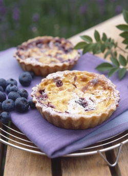 TARTELLETTE AI MIRTILLI