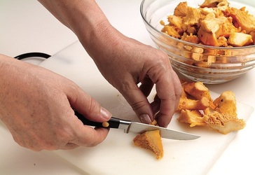 MEN&Ugrave; TUTTO FUNGHI