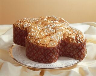 COLOMBA COLOMBA