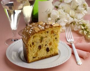 COLOMBA COLOMBA