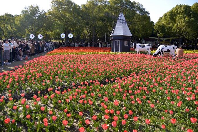 2026 Jing an Flower Festival opens in Shanghai s Daning Park
