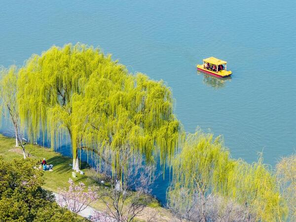 Tourists Enjoy Spring Scenery in Nanjing Tourists Enjoy Spring Scenery in Nanjing